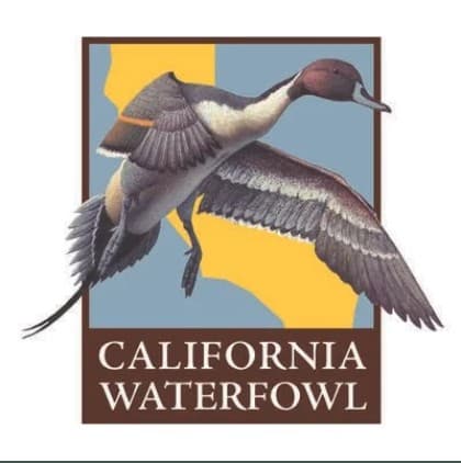 California Waterfowl